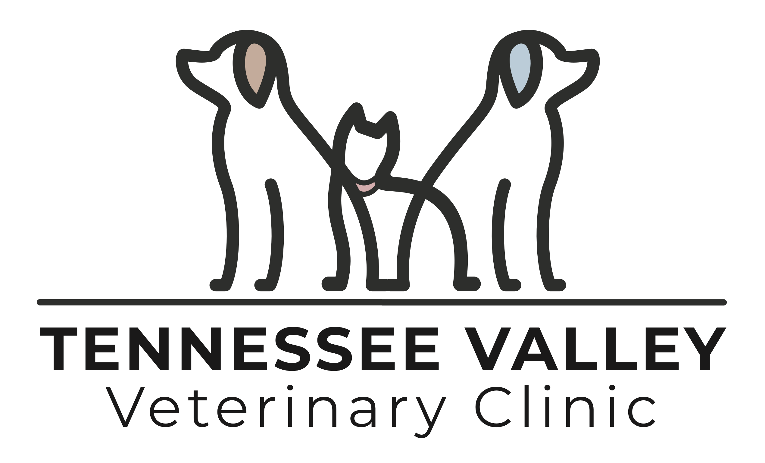 Contact Us | Pet care In Charleston, TN